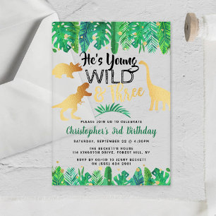 Invitaciones Acrílicas Cumpleaños 3 de Young Wild & Three Dinosaur Boys