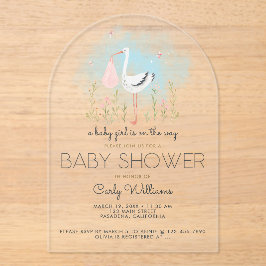 Invitaciones Acrílicas Cute Stork Baby Shower