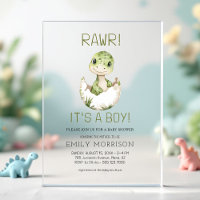 Es una pequeña ducha de bebé de dinosaurios