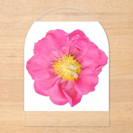 Invitaciones Acrílicas Flor de peonía acrílica botánica de color rosa sua