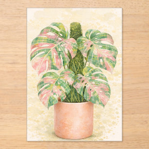 Invitaciones Acrílicas hoja de monstera de tartán rosa escocesa Escocia