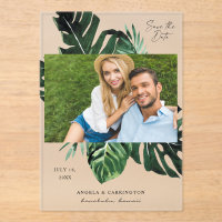 Hoja tropical de palma salva foto de fecha