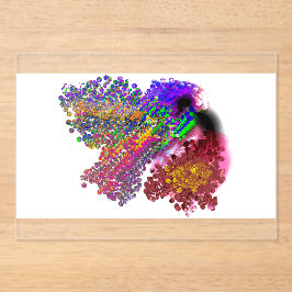 Invitaciones Acrílicas Humming Bird love