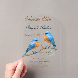 Invitaciones Acrílicas Ivory Pastel Lovebirds Romantic Bluebirds Boda