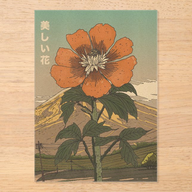 Invitaciones Acrílicas La Flor Hermosa (Anverso)