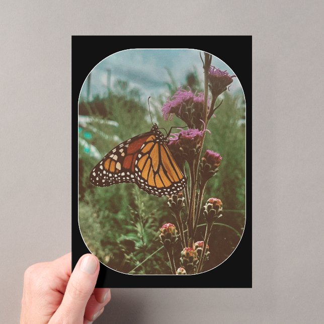 Invitaciones Acrílicas mariposas naranja  (Insitu (portátil))