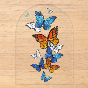 Invitaciones Acrílicas Mariposas voladoras Morpho y Monarca