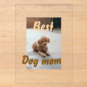 Invitaciones Acrílicas Mejor mamá de perro charco marrón día de las madre