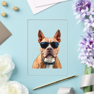Invitaciones Acrílicas Perro con gafas de sol, tamaño: 5" x 7"
