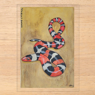Invitaciones Acrílicas Pintura en Acuarela de Serpiente Escarlata