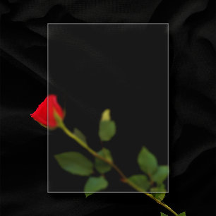 Invitaciones Acrílicas Plástico escarchado 5"x7" Boda en blanco