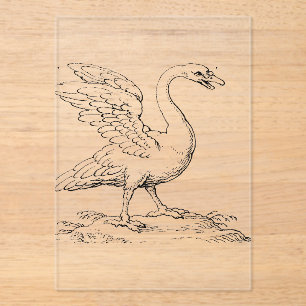 Invitaciones Acrílicas Símbolo de cisne de amor y fidelidad Arte refinado