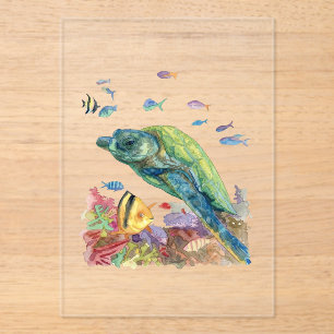 Invitaciones Acrílicas Tortuga y peces en el mar
