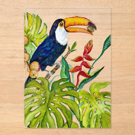 Invitaciones Acrílicas Tucán Colorido Acuarela Pájaro Tropical