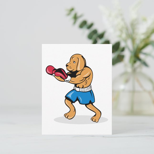 Invitaciones al boxeo de perros (Subido por el creador)