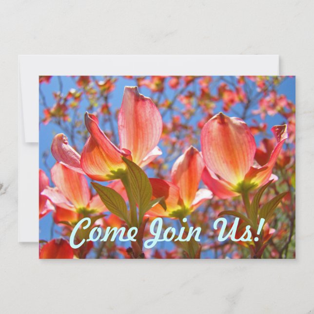 Invitaciones Azules Rosa Dogwood Tree Fllowers Flo (Anverso)