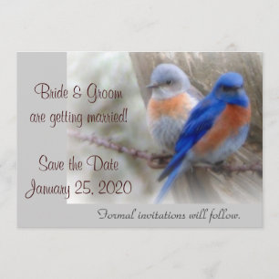 Invitaciones Bodas de Bluebird