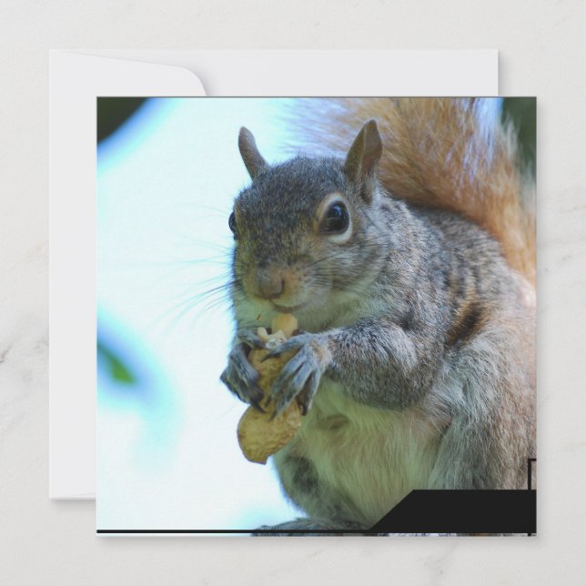 Invitaciones de ardilla (Anverso)