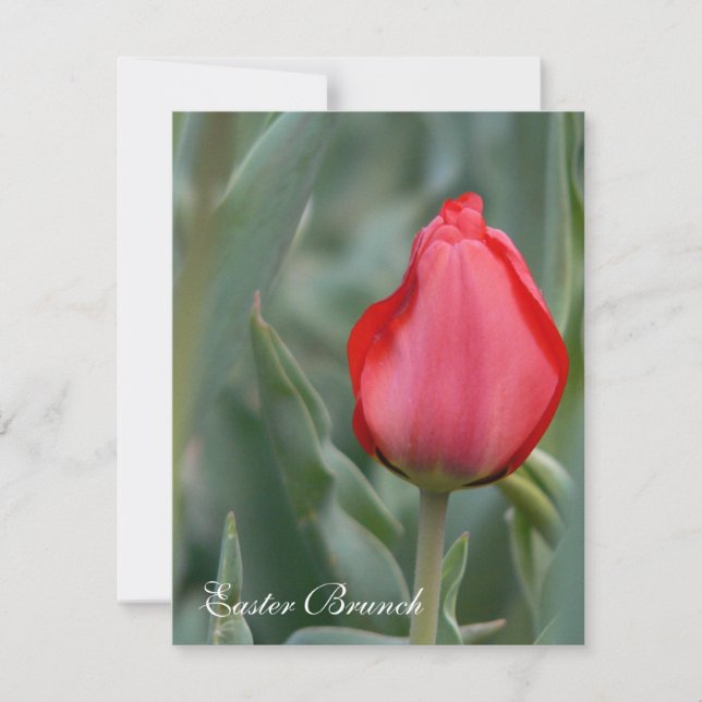 Invitaciones de Brunch de Pascua Rojo Tulipán (Anverso)
