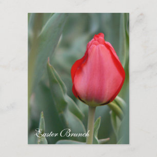 Invitaciones de Brunch de Pascua Rojo Tulipán