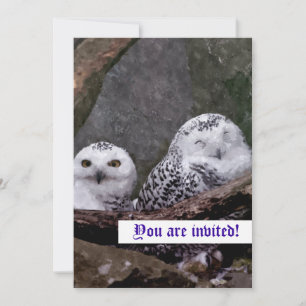 Invitaciones de búhos cutos
