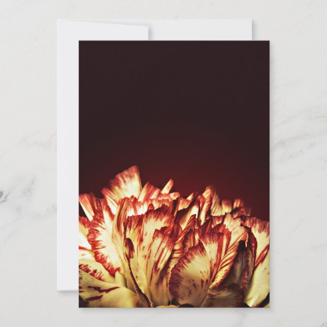 Invitaciones de Carnation Fire (Anverso)