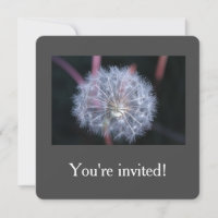 invitaciones de cumpleaños con semillas de diente 