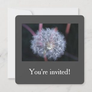 invitaciones de cumpleaños con semillas de diente