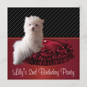 Invitaciones de cumpleaños de cachorro blanco lind