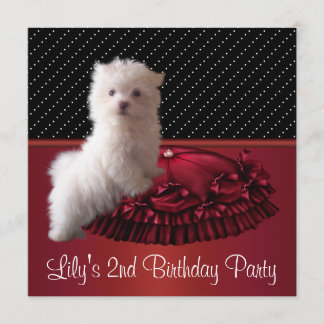Invitaciones de cumpleaños de cachorro blanco lind