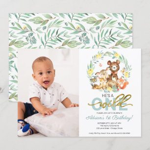 Invitaciones de cumpleaños de Wild One con foto