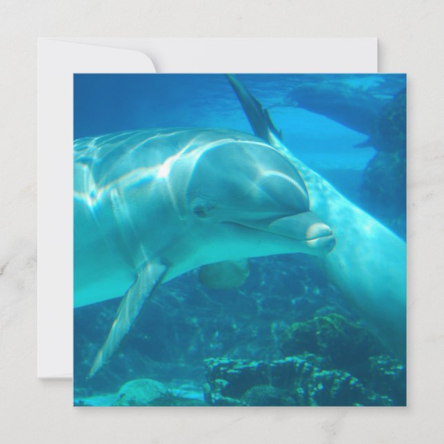 Invitaciones de delfines lúdicos (Anverso)