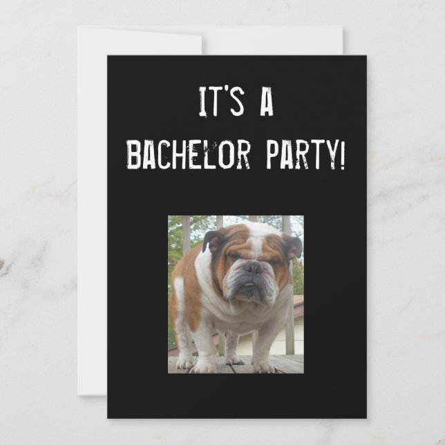 Invitaciones de Despedida de Soltero de Bulldog In (Anverso)
