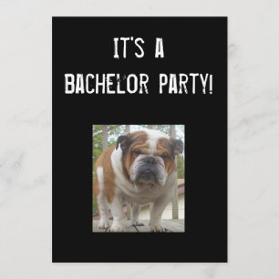 Invitaciones de Despedida de Soltero de Bulldog In