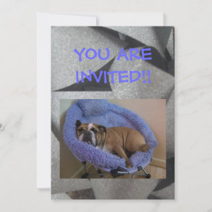 Invitaciones de fiesta de Bulldog Inglés