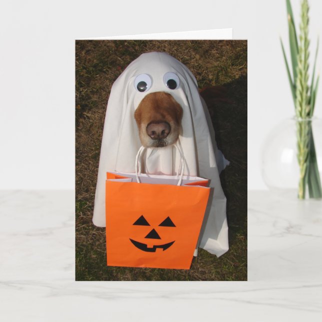 Invitaciones de Halloween con el perro del (Anverso)
