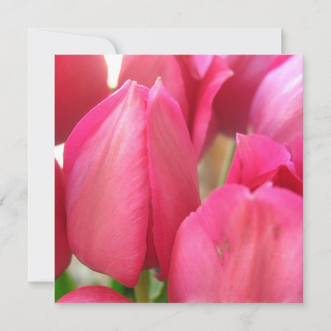 Invitaciones de los bulbos del tulipán (Anverso)