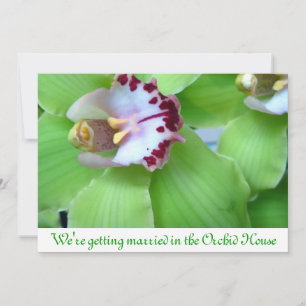 invitaciones de orquídeas verdes
