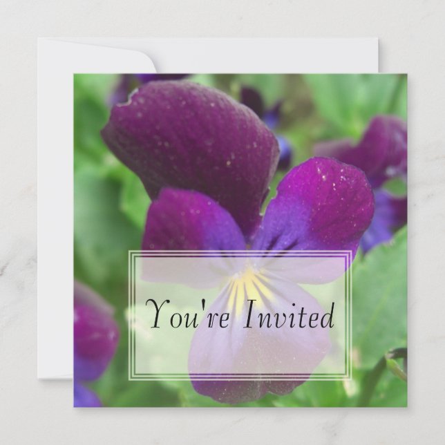 Invitaciones de Páncer (Anverso)