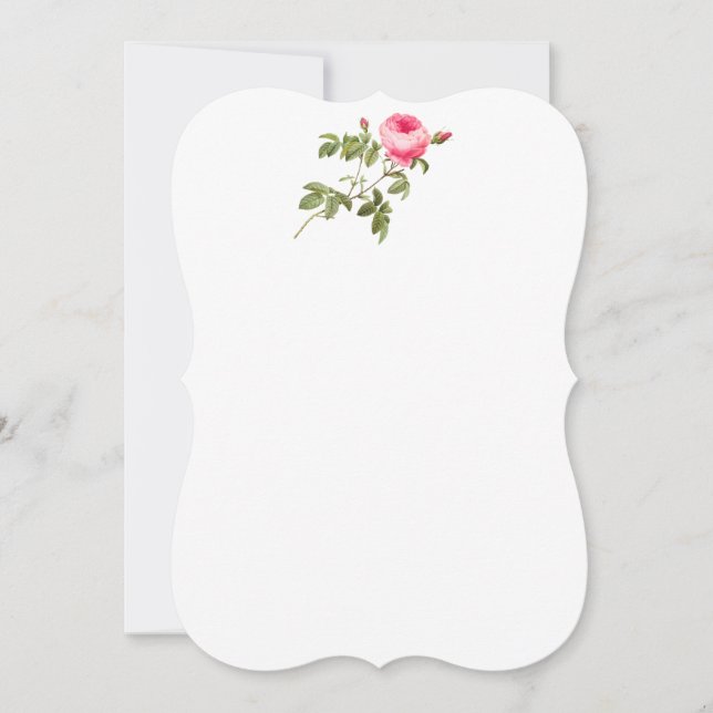 Invitaciones de Rosa de Redoute rosa (Anverso)