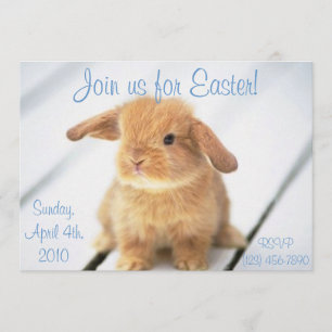 Invitaciones de Semana Santa para bebés conejitos
