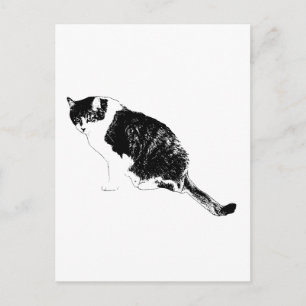 Invitaciones de Vector de Gato Negro con Notas Est