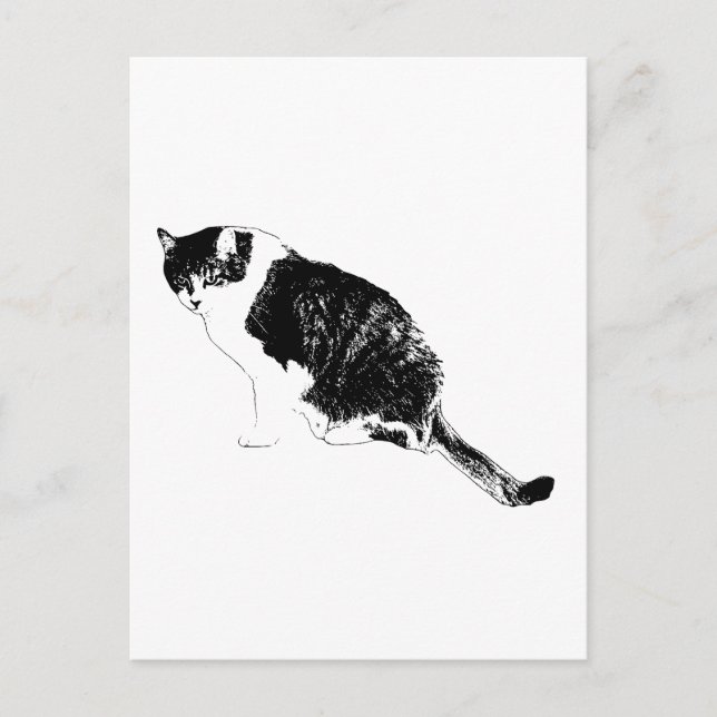 Invitaciones de Vector de Gato Negro con Notas Est (Anverso)