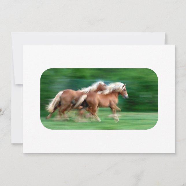 Invitaciones del Palomino de las Carreras (Anverso)