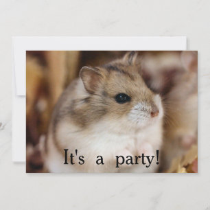 Invitaciones del partido Chibby