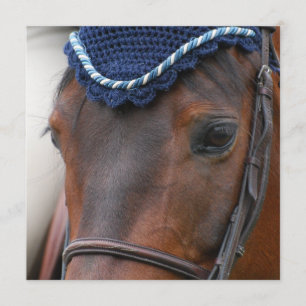 Invitaciones del perfil del caballo