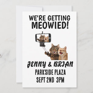 INVITACIONES DEL PERSONALIZADO DEL BODA CAT