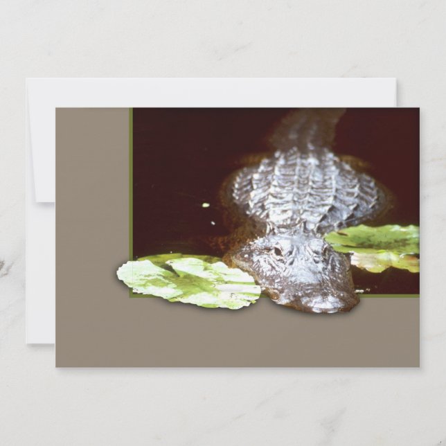Invitaciones en blanco (Anverso)