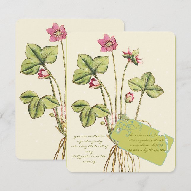 Invitaciones para cena botánica de flores silvestr (Anverso / Reverso)