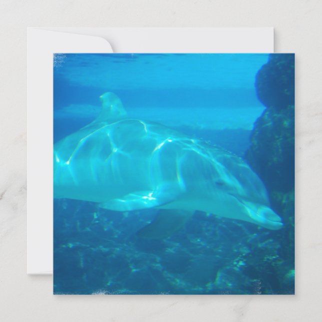 Invitaciones para delfines submarinos (Anverso)